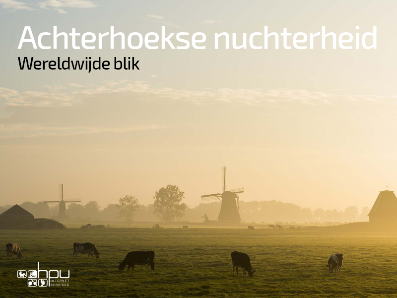 HPU internet services, internetbureau Doetinchem